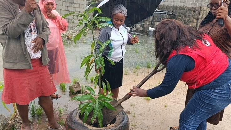 Tree Planting Initiative with Chrismilia Secondary School, photograph 2